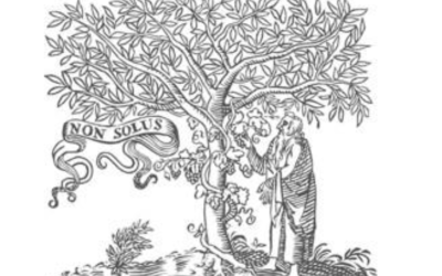 Aluminium adjuvants and childhood health